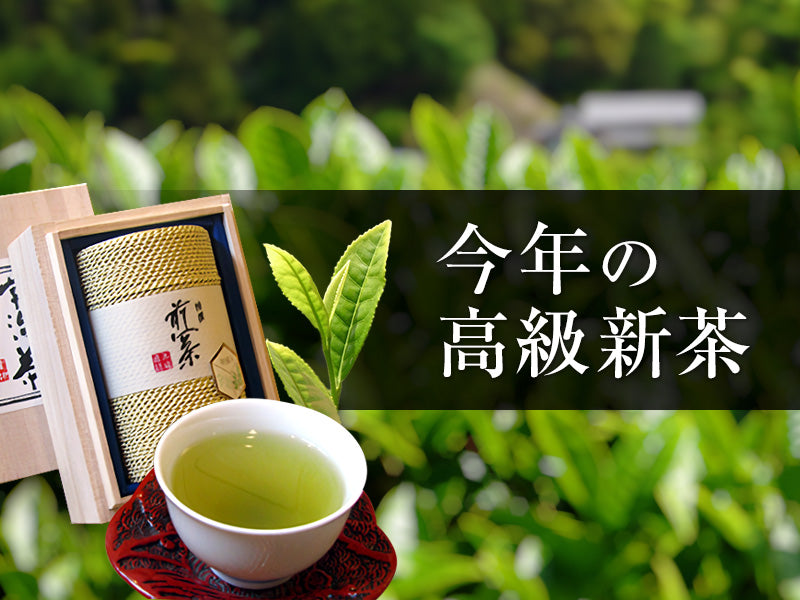 今年の高級新茶
